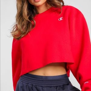 champion cropped sweater
